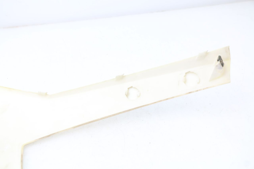 photo de UPPER FRONT FAIRING RAZZO STEED 125 (2012 - 2018) - Component detail