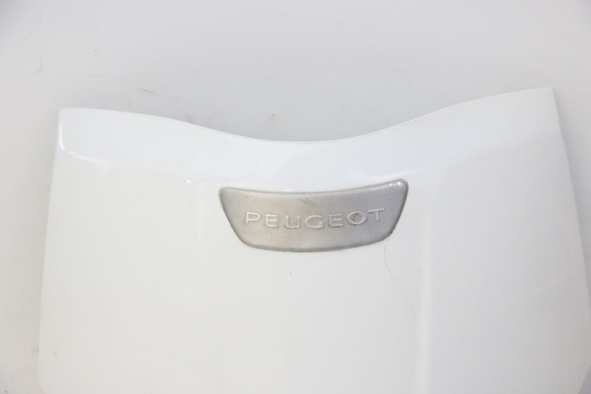 photo de UPPER FRONT FAIRING PEUGEOT TWEET PRO CARGO 50 (2018 - 2022) - Checked used part