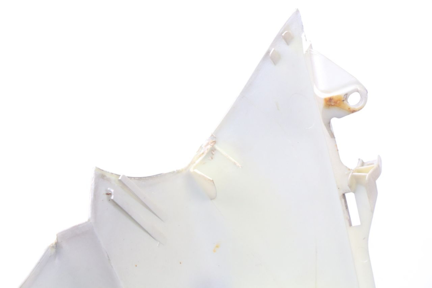 photo de FRONT PANEL PIAGGIO X9 125 (2000 - 2003) - Zoom on usage condition