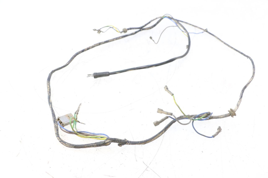 photo de WIRE HARNESS PEUGEOT 103 SPX CLIP 50 (1989 - 1992) - Main view