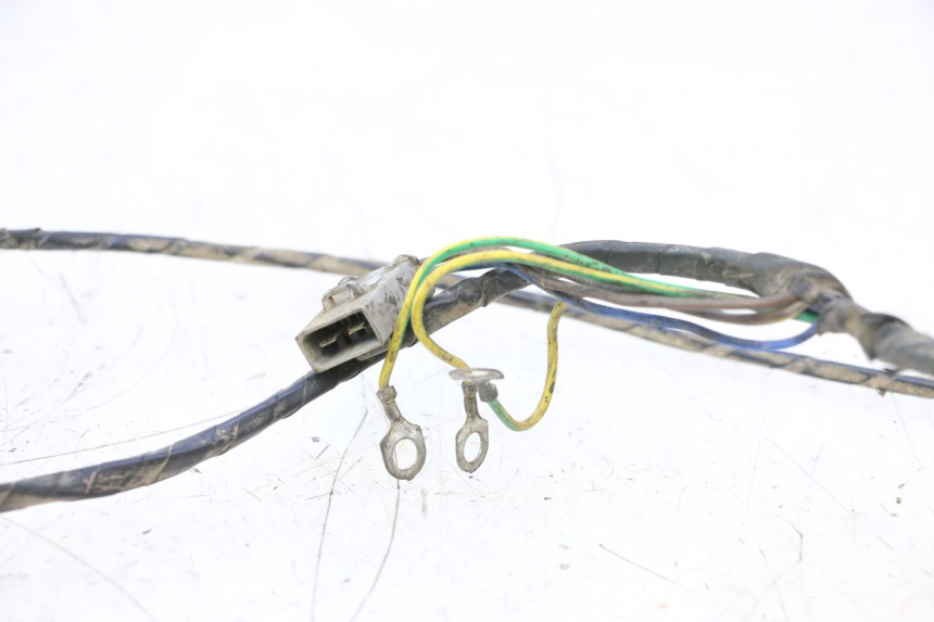 photo de WIRE HARNESS PEUGEOT 103 SPX CLIP 50 (1989 - 1992) - Component detail