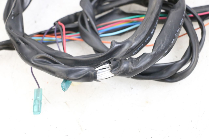 photo de Wiring harness E-MAX 80L 1 (2011 - 2014) - Zoom on usage condition