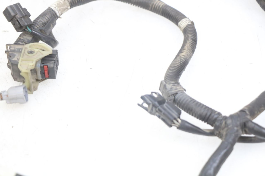 photo de WIRING HARNESS KYMCO AGILITY 16+ 4T 50 (2018 - 2023) - Product overview