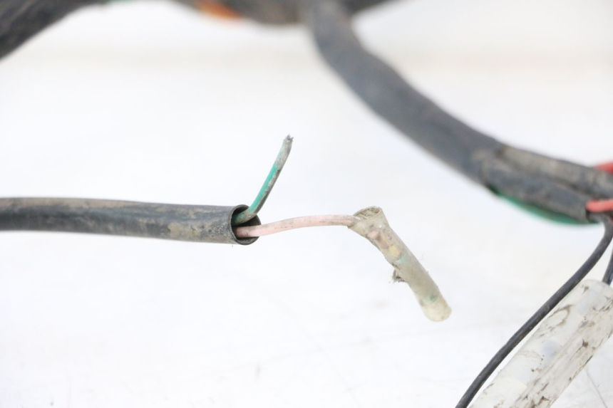 photo de WIRE HARNESS KYMCO AGILITY 4T 10" 50 (2005 - 2018) - Checked used part