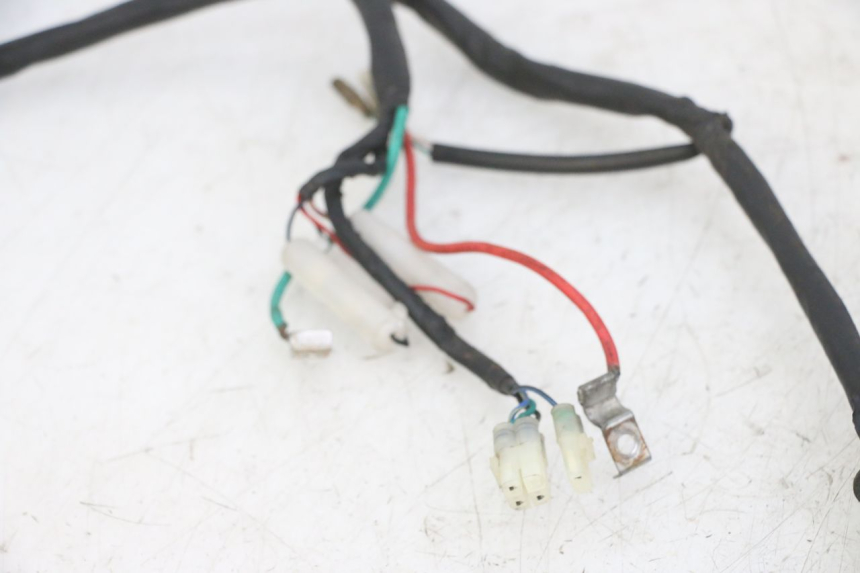 photo de WIRING HARNESS KYMCO AGILITY 4T 50 (2005 - 2018) - Zoom on usage condition