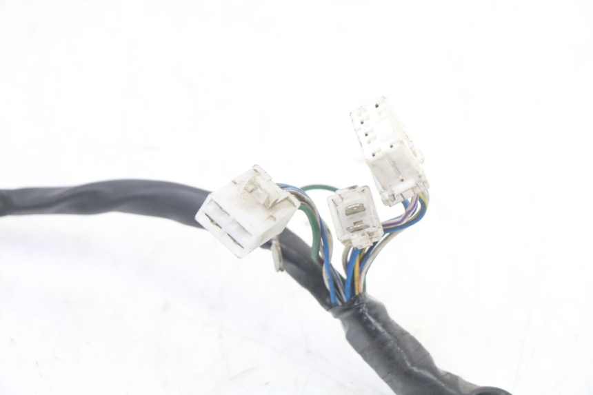 photo de WIRE HARNESS APRILIA ATLANTIC 125 (2003 - 2009) - Checked used part