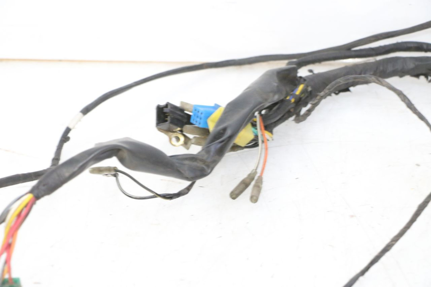 photo de Wiring harness HYOSUNG GV AQUILA 125 (2000 - 2009) - Checked used part