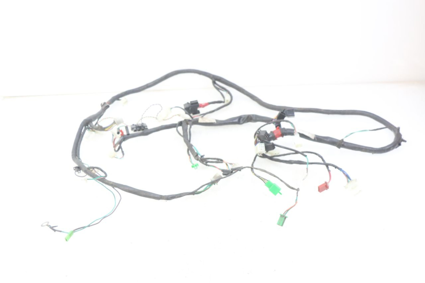 photo de WIRING HARNESS ECCITY ARTELEC 670 1 (2013 - 2017) - Main view
