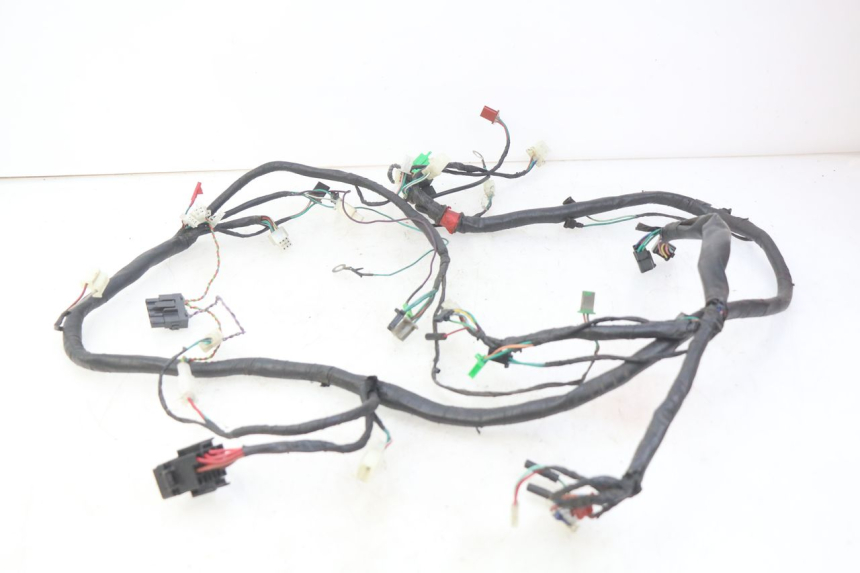 photo de WIRING HARNESS ECCITY ARTELEC 670 1 (2013 - 2017) - Component detail