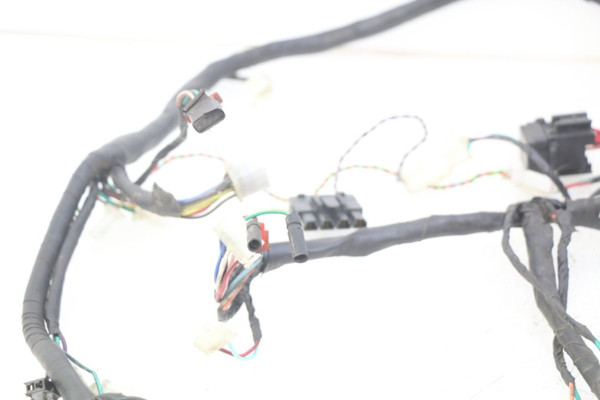 photo de WIRING HARNESS ECCITY ARTELEC 670 1 (2013 - 2017) - Technical close-up