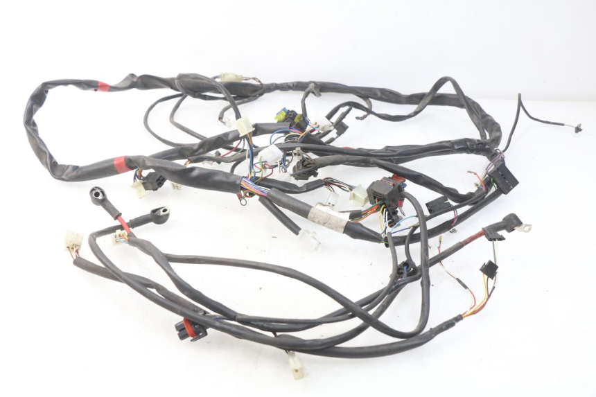 photo de WIRE HARNESS APRILIA ATLANTIC 125 (2003 - 2009) - Main view
