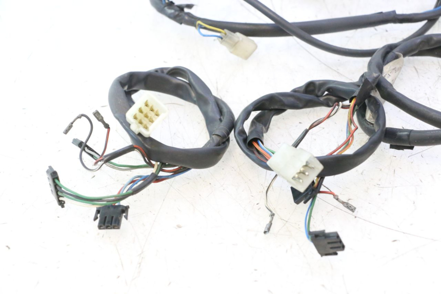 photo de WIRE HARNESS APRILIA ATLANTIC S 125 (2010 - 2013) - Component detail
