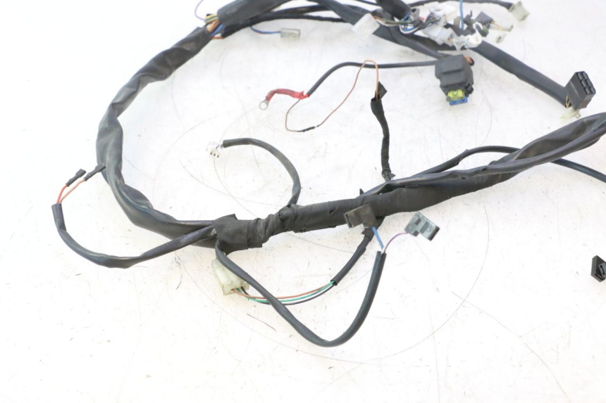 photo de WIRE HARNESS APRILIA ATLANTIC S 125 (2010 - 2013) - Checked used part