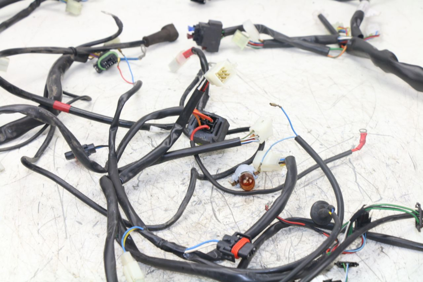 photo de WIRE HARNESS APRILIA ATLANTIC S 125 (2010 - 2013) - Component detail