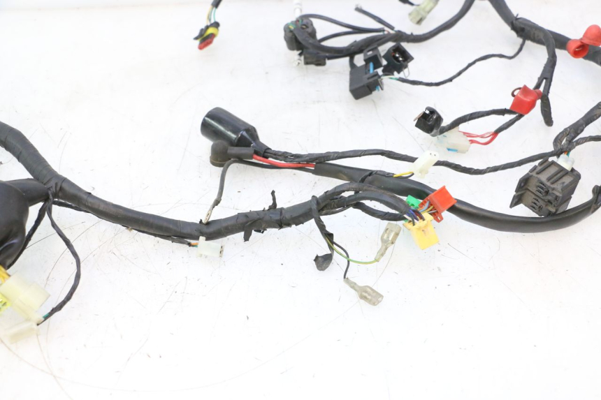 photo de WIRE HARNESS MASH BIBOP 2.0 50 (2021 - 2026) - Detailed visual inspection