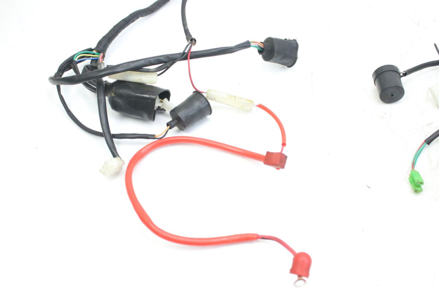 photo de WIRING HARNESS WILDLANDER BISCUIT 125 (2004 - 2010) - Alternative perspective