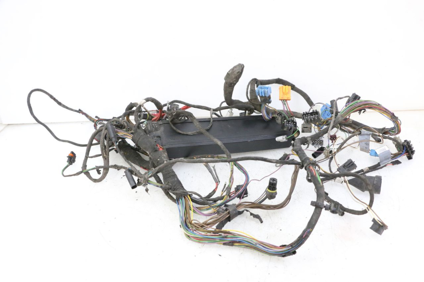 photo de WIRING HARNESS BMW C1 125 (2000 - 2003) - High-resolution close-up