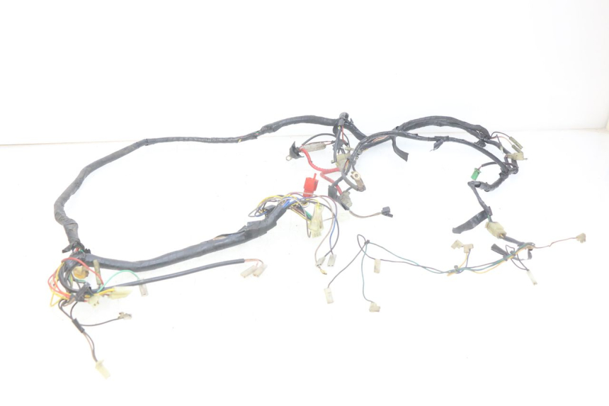 photo de WIRING HARNESS MBK BOOSTER NEXT GENERATION 50 (1995 - 1998) - Main view