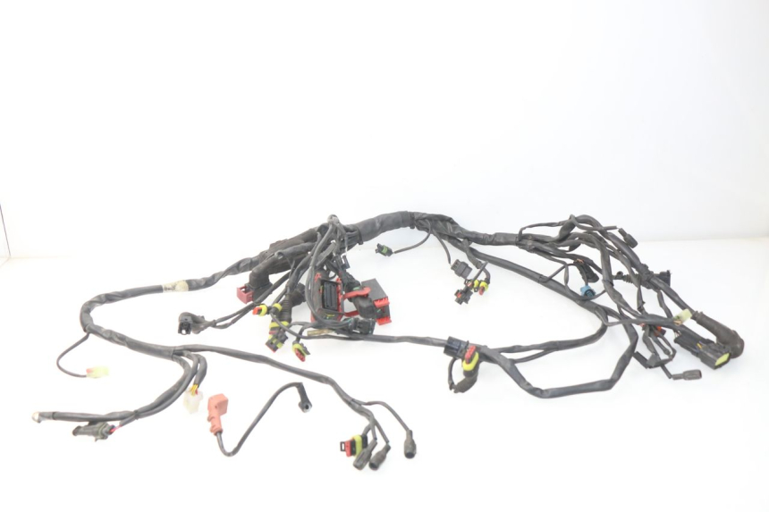 photo de WIRE HARNESS MV AGUSTA BRUTALE R WALLY 910 (2008 - 2008) - Main view
