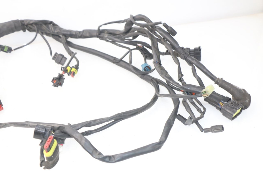photo de WIRE HARNESS MV AGUSTA BRUTALE R WALLY 910 (2008 - 2008) - Focus on structure