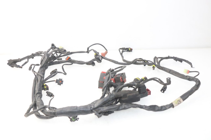 photo de WIRE HARNESS MV AGUSTA BRUTALE R WALLY 910 (2008 - 2008) - Technical close-up