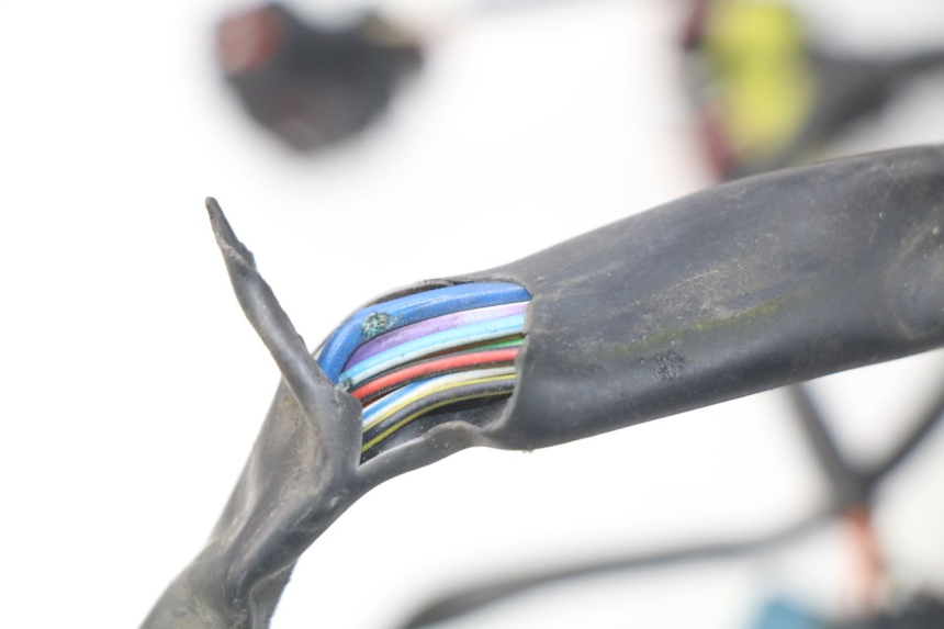 photo de WIRE HARNESS MV AGUSTA BRUTALE R WALLY 910 (2008 - 2008) - Checked used part