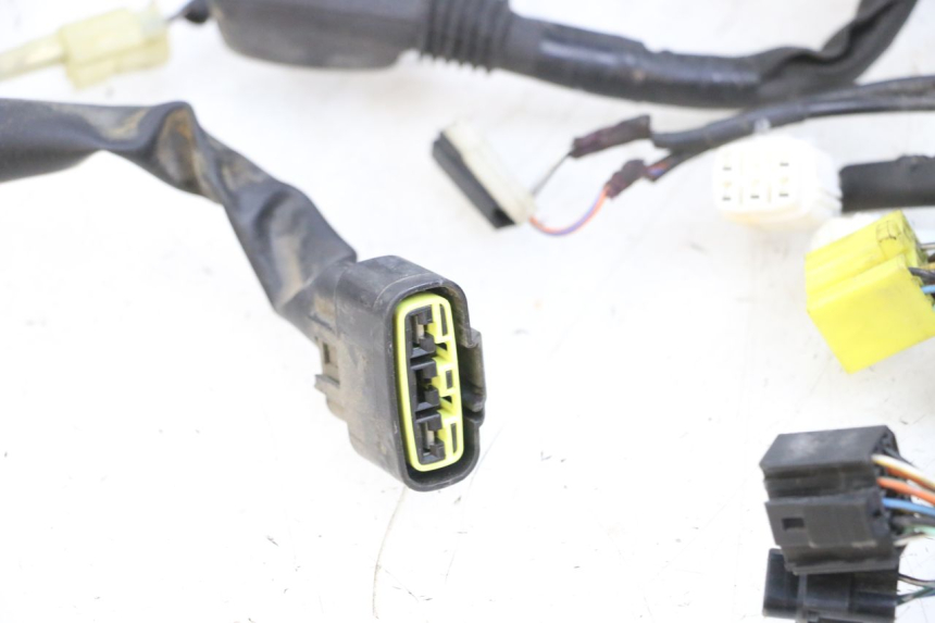 photo de WIRE HARNESS SUZUKI BURGMAN 650 (2013 - 2020) - Surface and material condition