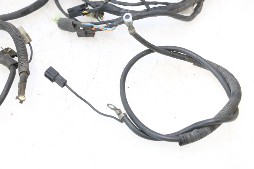 photo de WIRING HARNESS SUZUKI BURGMAN 125 (2007 - 2014) - Distinctive features