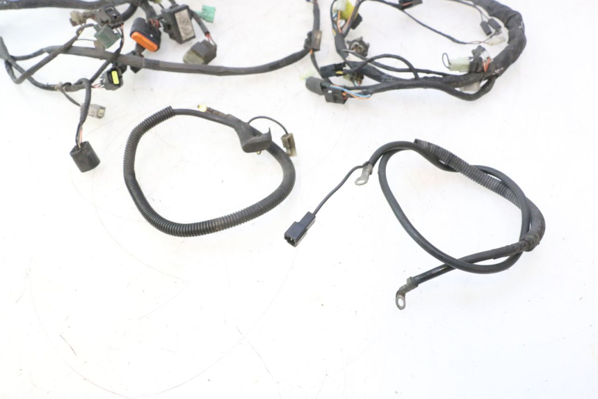 photo de WIRING HARNESS SUZUKI BURGMAN 125 (2007 - 2014) - Checked used part