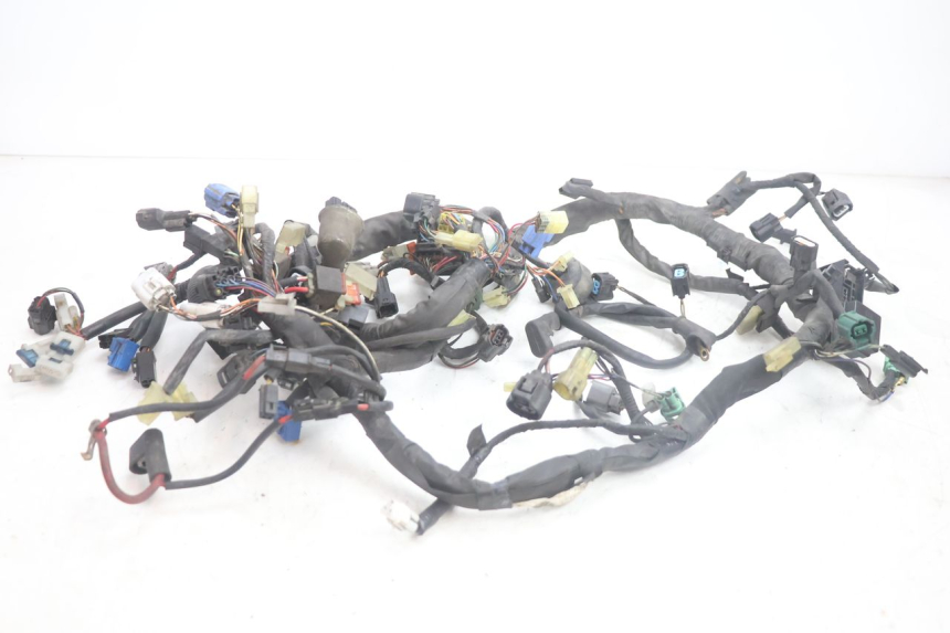 photo de WIRE HARNESS SUZUKI BURGMAN EXECUTIVE ABS 650 (2006 - 2012) - Main view