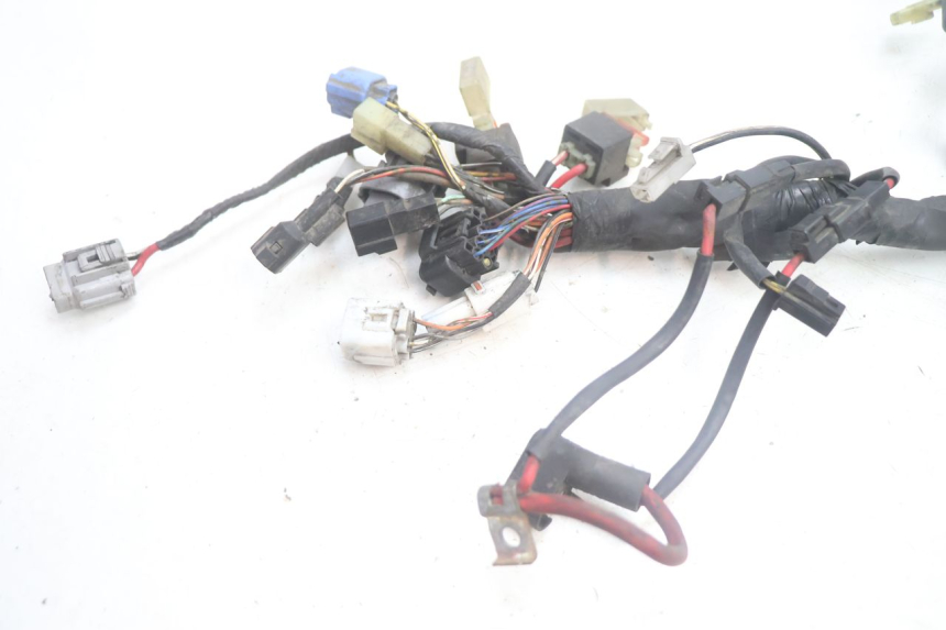 photo de WIRE HARNESS SUZUKI BURGMAN EXECUTIVE ABS 650 (2006 - 2012) - Component detail