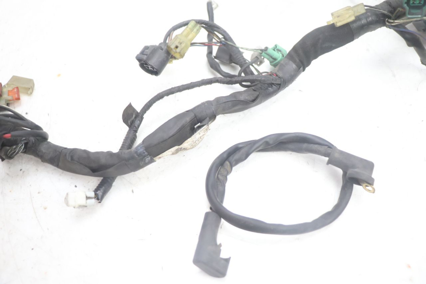 photo de WIRE HARNESS SUZUKI BURGMAN EXECUTIVE ABS 650 (2006 - 2012) - Zoom on usage condition