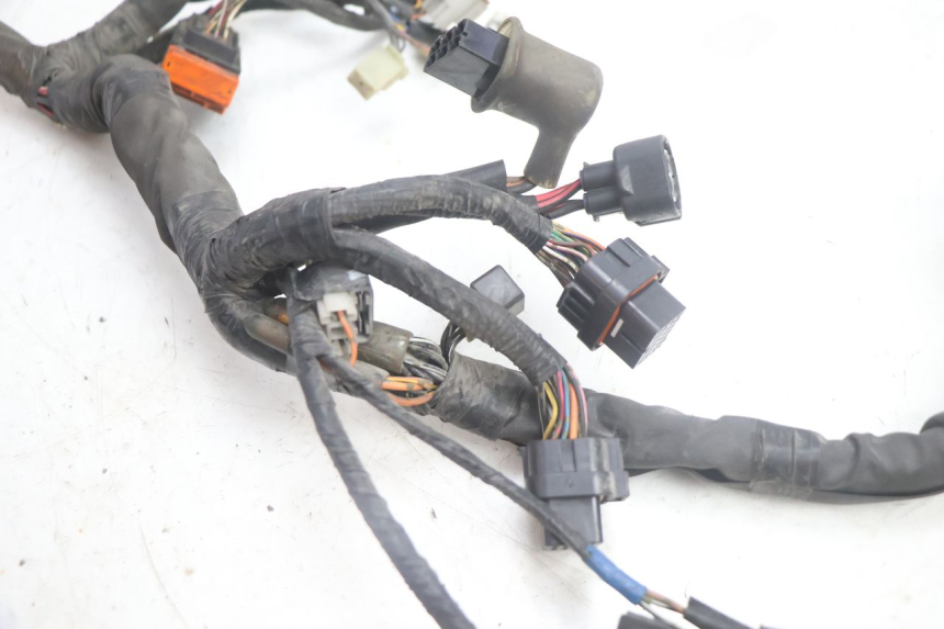 photo de WIRE HARNESS SUZUKI BURGMAN EXECUTIVE ABS 650 (2006 - 2012) - Surface and material condition