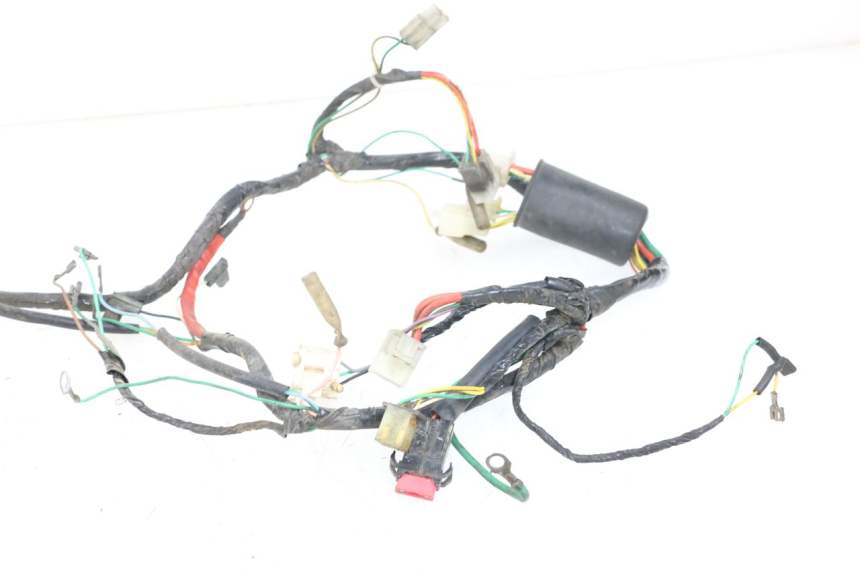 photo de WIRING HARNESS PEUGEOT BUXY 50 (1993 - 1998) - Distinctive features