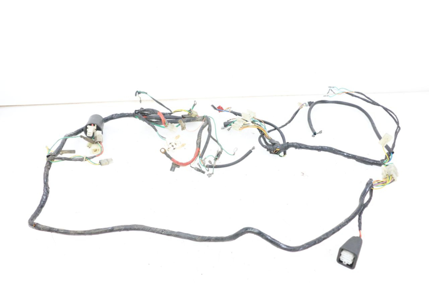 photo de WIRING HARNESS PEUGEOT BUXY 50 (1993 - 1998) - Product overview