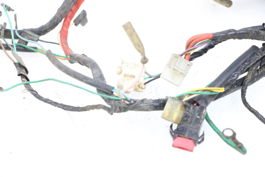 photo de WIRING HARNESS PEUGEOT BUXY 50 (1993 - 1998) - Fixing points details