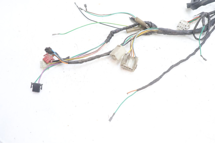 photo de WIRING HARNESS PEUGEOT BUXY 50 (1993 - 1998) - Component detail