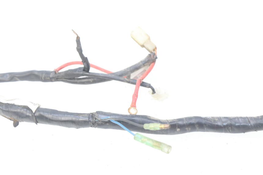 photo de WIRING HARNESS YAMAHA BW'S EASY 50 (2013 - 2016) - Technical close-up