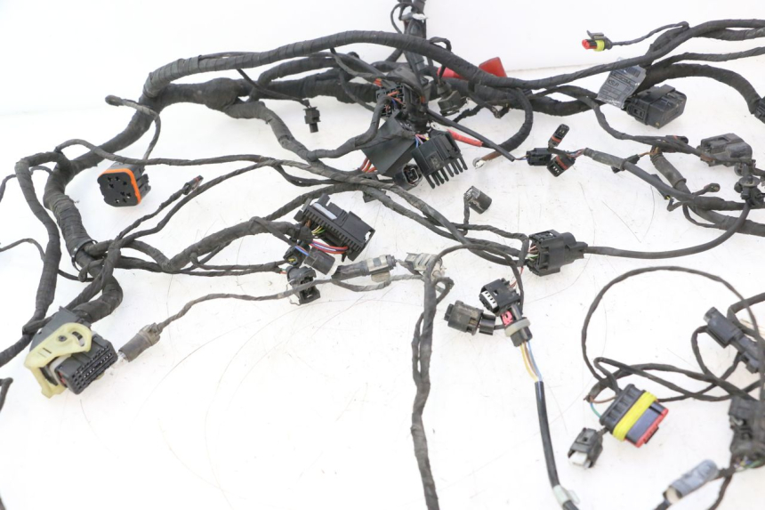 photo de WIRE HARNESS BMW C SPORT 650 (2015 - 2021) - Focus on structure