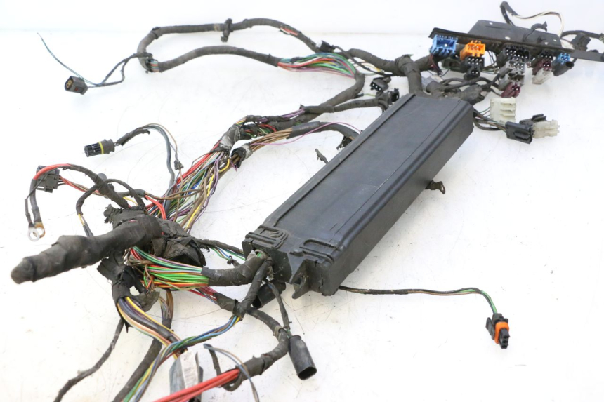 photo de WIRING HARNESS BMW C1 125 (2000 - 2003) - Distinctive features