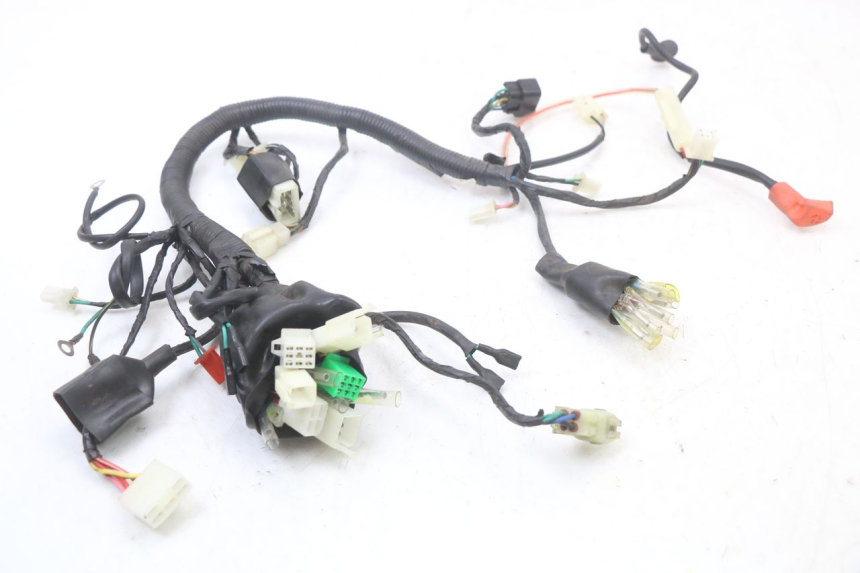 photo de WIRE HARNESS ARCHIVE CAFE RACER 4T 50 (2019 - 2024) - Main view