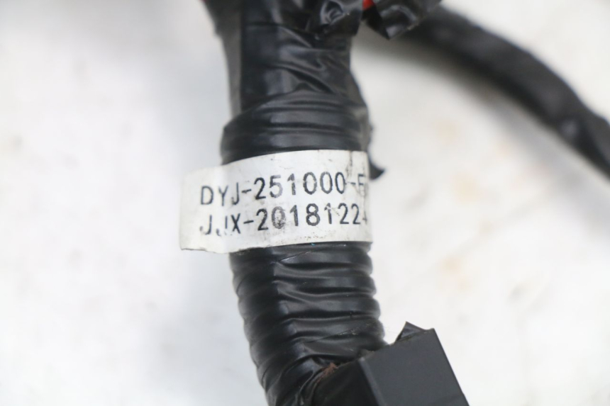photo de WIRE HARNESS ARCHIVE CAFE RACER 4T 50 (2019 - 2024) - Component detail
