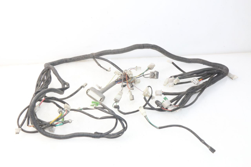 photo de WIRE HARNESS ERIDER CARGO 1 (2009 - 2018) - Main view