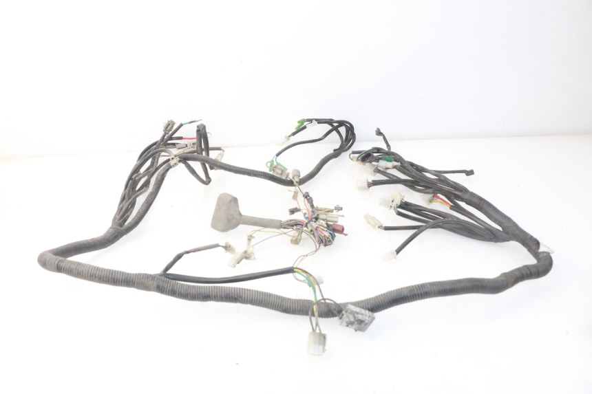 photo de WIRE HARNESS ERIDER CARGO 1 (2009 - 2018) - Component detail