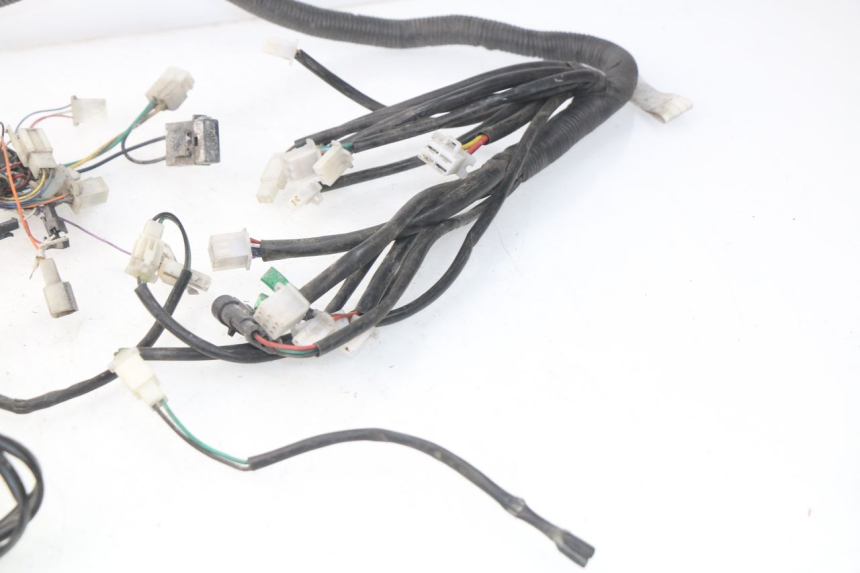 photo de WIRE HARNESS ERIDER CARGO 1 (2009 - 2018) - Alternative perspective