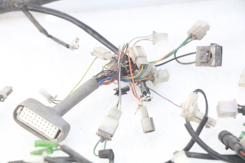 photo de WIRE HARNESS ERIDER CARGO 1 (2009 - 2018) - Technical close-up