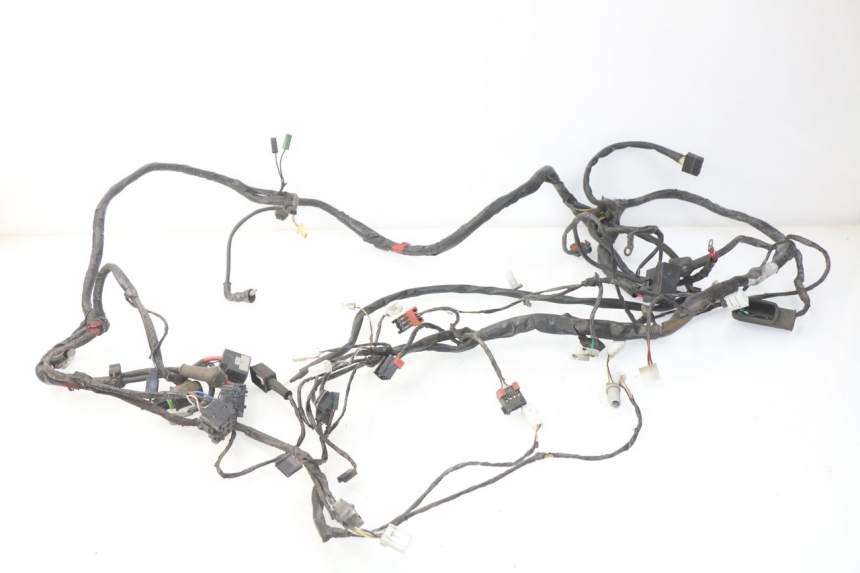 photo de WIRE HARNESS PIAGGIO CARNABY 125 (2007 - 2011) - Main view