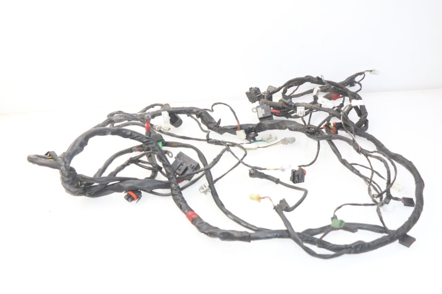 photo de WIRE HARNESS PIAGGIO CARNABY 125 (2007 - 2011) - Component detail