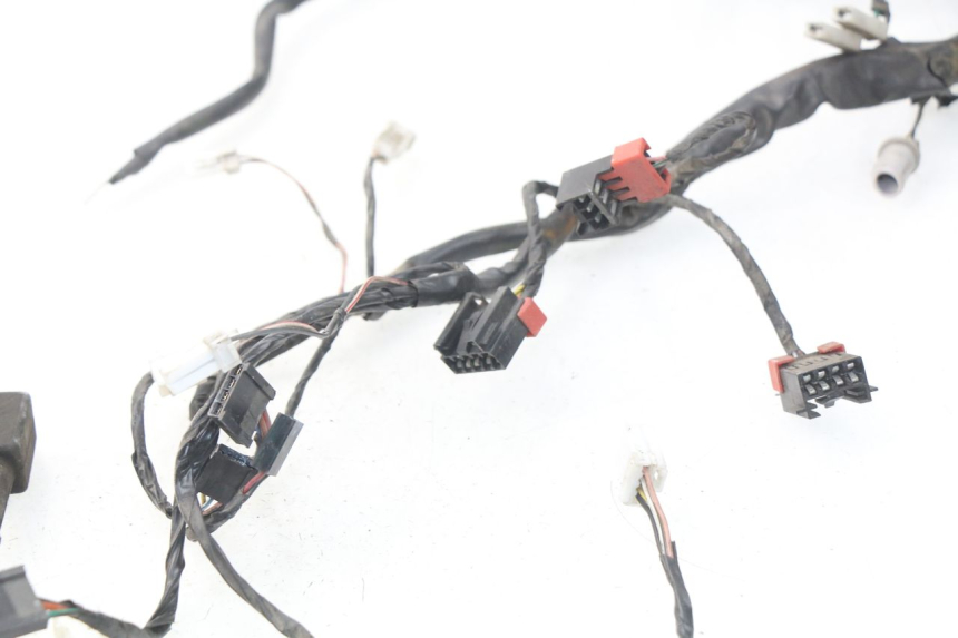 photo de WIRE HARNESS PIAGGIO CARNABY 125 (2007 - 2011) - Alternative perspective