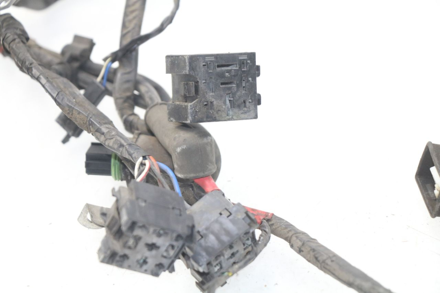 photo de WIRE HARNESS PIAGGIO CARNABY 125 (2007 - 2011) - Technical close-up